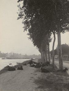  tekijältä Alfred Stieglitz