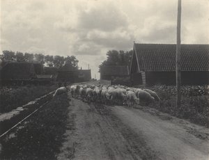  tekijältä Alfred Stieglitz