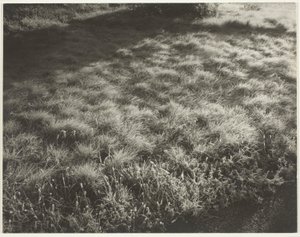Ruohoa ja huurretta tekijältä Alfred Stieglitz