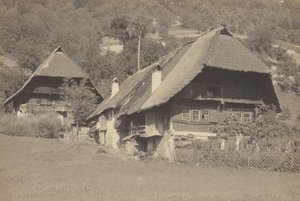 Gutachin talot tekijältä Alfred Stieglitz