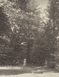  tekijältä Alfred Stieglitz
