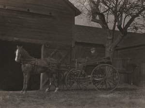 Hevonen ja vaunut tekijältä Alfred Stieglitz