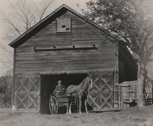  tekijältä Alfred Stieglitz