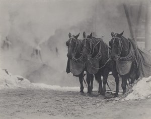 Hevoset, New York tekijältä Alfred Stieglitz