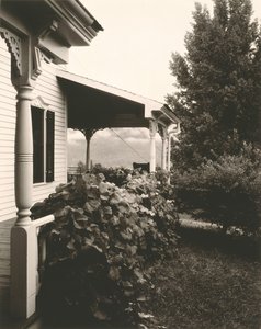 Talo ja viinirypäleen lehdet, 1934. tekijältä Alfred Stieglitz