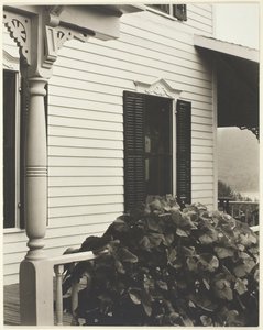 Talo ja viinirypäleen lehdet, 1934. tekijältä Alfred Stieglitz