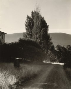  tekijältä Alfred Stieglitz