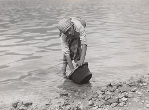  tekijältä Alfred Stieglitz