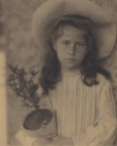 Kitty – Kukkaruukku tekijältä Alfred Stieglitz