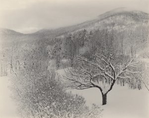 Lake George tekijältä Alfred Stieglitz