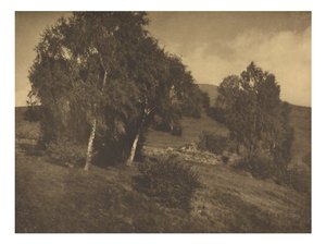 [Maisema, Tirol] tekijältä Alfred Stieglitz