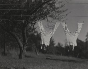  tekijältä Alfred Stieglitz