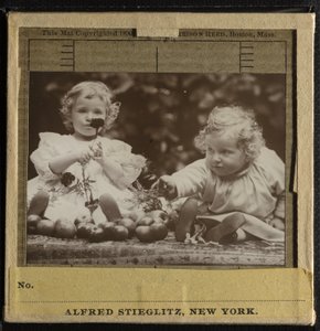Veljentytöt - Flora pitelee kukkaa ja Hedwig tekijältä Alfred Stieglitz