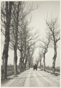 Marraskuun päivät tekijältä Alfred Stieglitz
