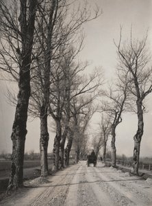 Marraskuun päivät tekijältä Alfred Stieglitz