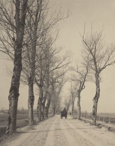  tekijältä Alfred Stieglitz