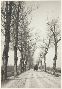 Marraskuun päivät, 1887, painettu 192039. tekijältä Alfred Stieglitz