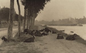 Seinen varrella – Pariisin lähellä tekijältä Alfred Stieglitz