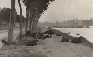  tekijältä Alfred Stieglitz