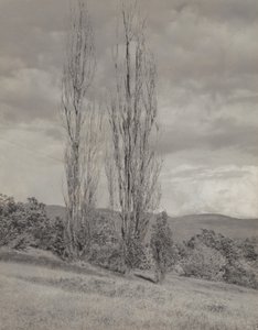  tekijältä Alfred Stieglitz