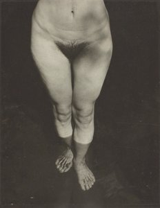 Rebecca Salsbury Strand, 1922. tekijältä Alfred Stieglitz