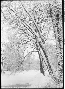 Lumimaisema, Berliini tekijältä Alfred Stieglitz