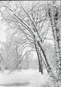 Lumimaisema, Berliini, 188892. tekijältä Alfred Stieglitz