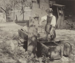 Sunlight Effect, Gutach tekijältä Alfred Stieglitz