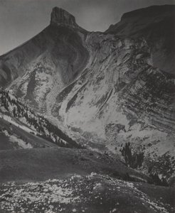  tekijältä Alfred Stieglitz