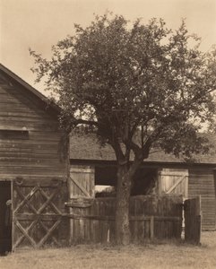  tekijältä Alfred Stieglitz