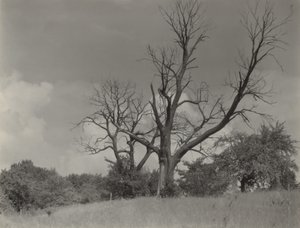  tekijältä Alfred Stieglitz