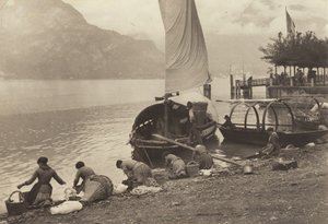 Pesijättäret Comojärvellä tekijältä Alfred Stieglitz