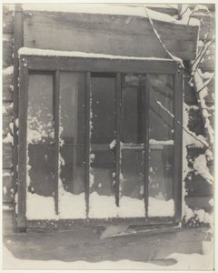 Ikkuna: Puu, lasi, lumi tekijältä Alfred Stieglitz