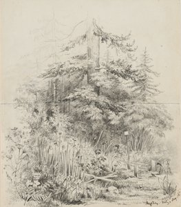 Indian Burial Place, Oregon, 1841 (grafiitti kahdella saumatulla luonnosvihkon arkilla kermanväristä kudottupaperia) tekijältä Alfred Thomas Agate