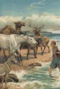 Arabian Nights: Bederin ja Giauharen historia