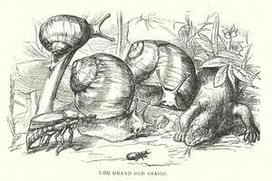  tekijältä Alfred Walter (after) Bayes