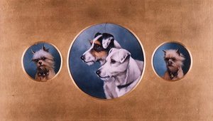 Foxterrierit ja Yorkshiren terrierit tekijältä Alfred Wheeler