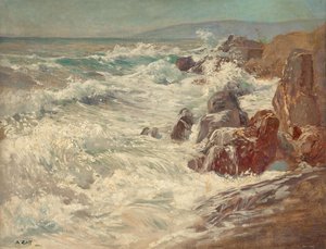 Surf Nervin rannikolla