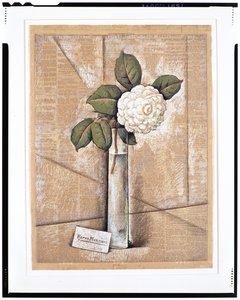 Gardenia lasissa, n. 1936 (guassi, akvarelli ja liitu sanomalehtipaperille)