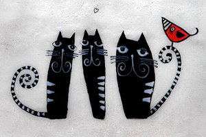 3 kissaa Krakovasta, 2019 (valokuva) tekijältä Alice Gur-Arie