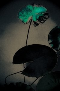 Emerald Spring, sarjasta Spring, 2020 (käsin maalattu valokuva)