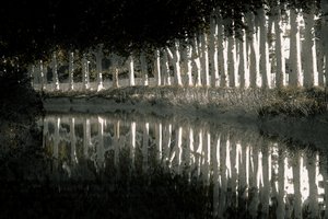 Rendering, 2018 (käsin maalattu valokuva)