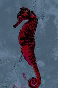 Merihevonen, 2018 (käsin maalattu valokuva)