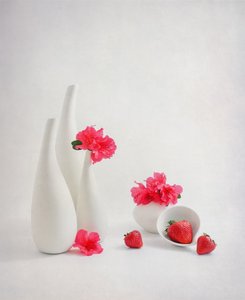  tekijältä Alice Sheng