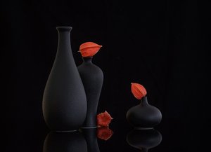  tekijältä Alice Sheng