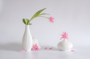  tekijältä Alice Sheng