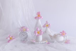  tekijältä Alice Sheng