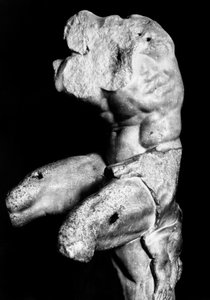 Belvedere Torso, kirjoittanut Apollonios of Nestor, n. 1890 (b/w kuva) tekijältä Fratelli Alinari