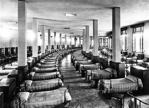 Villa Rosa Maltoni Mussolini: asuntola (m/w kuva) tekijältä Fratelli Alinari