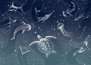 Taivaallinen merielämä tekijältä Alirıza ÇAKIR